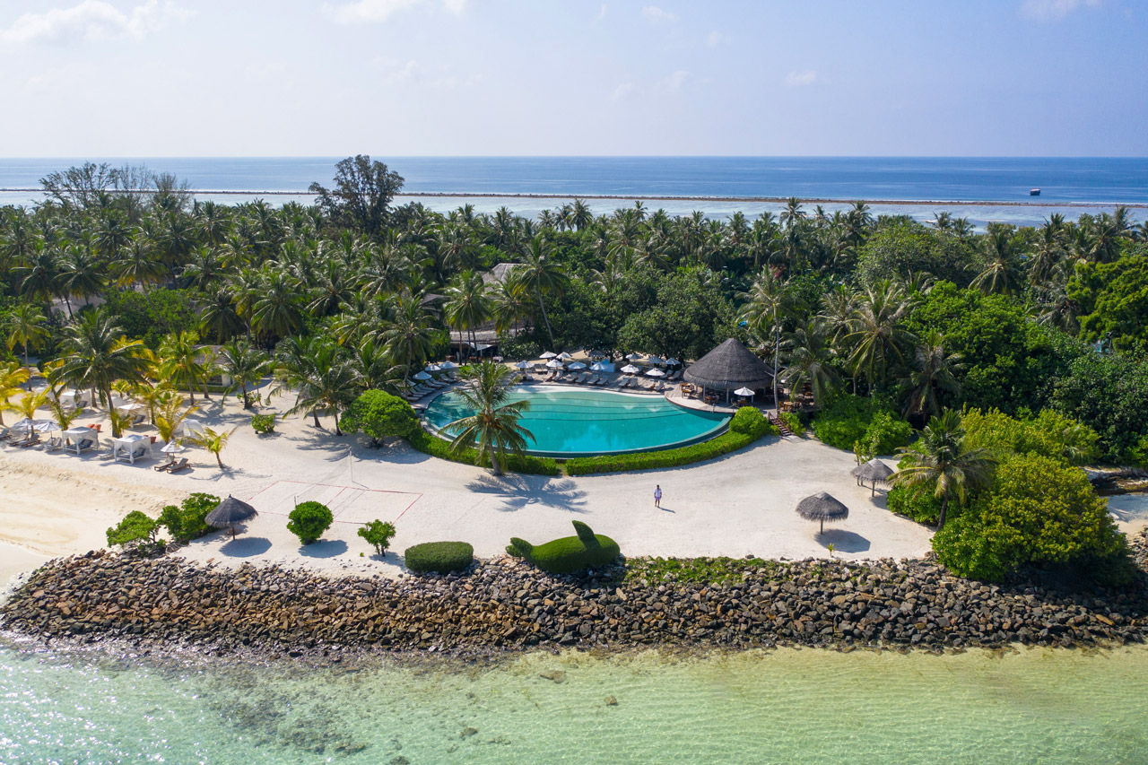 Where Paradise Meets the Ocean