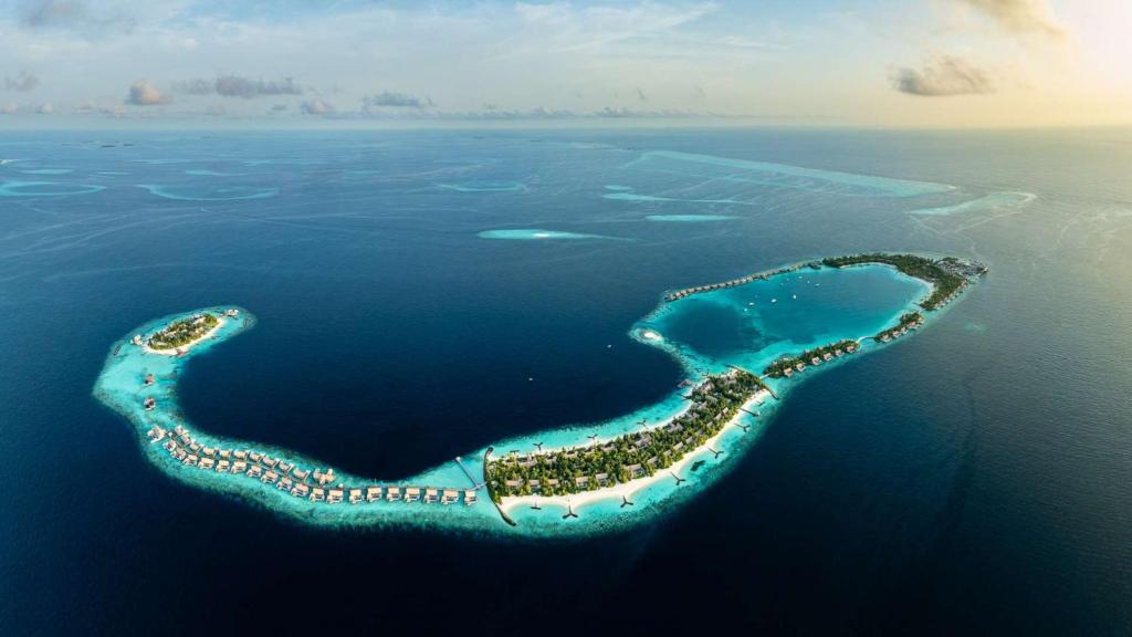 Where Paradise Meets the Ocean